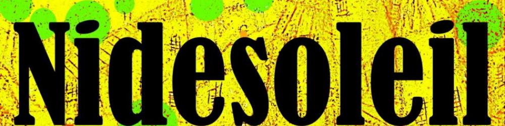 Logo ensemble nidesoleil 31 1